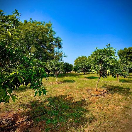 Mangohut Farmhouse Pool Villa Hyderabad Luaran gambar