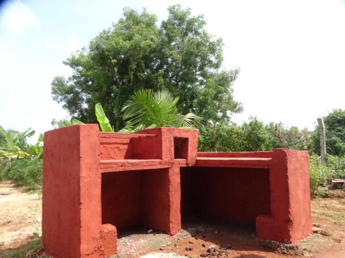 Mangohut Farmhouse Pool Villa Hyderabad Luaran gambar