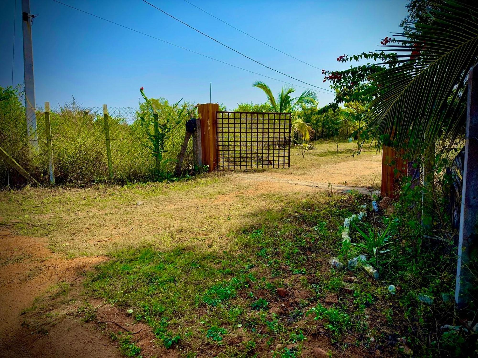 Mangohut Farmhouse Pool Villa Hyderabad Luaran gambar